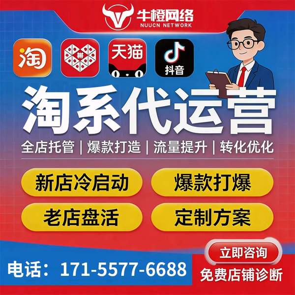 葫芦岛电商代运营