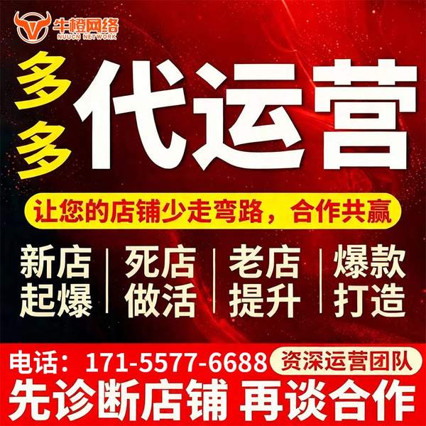 葫芦岛电商代运营