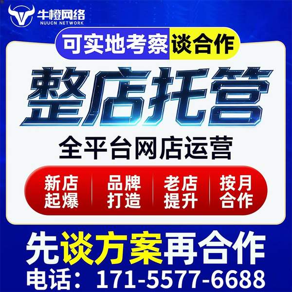 葫芦岛电商代运营