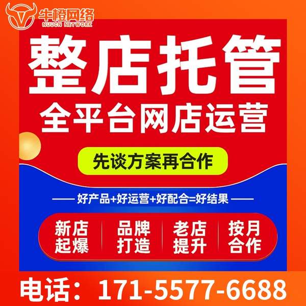 葫芦岛电商代运营