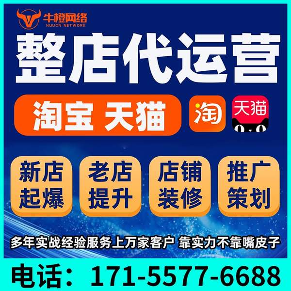 葫芦岛电商代运营