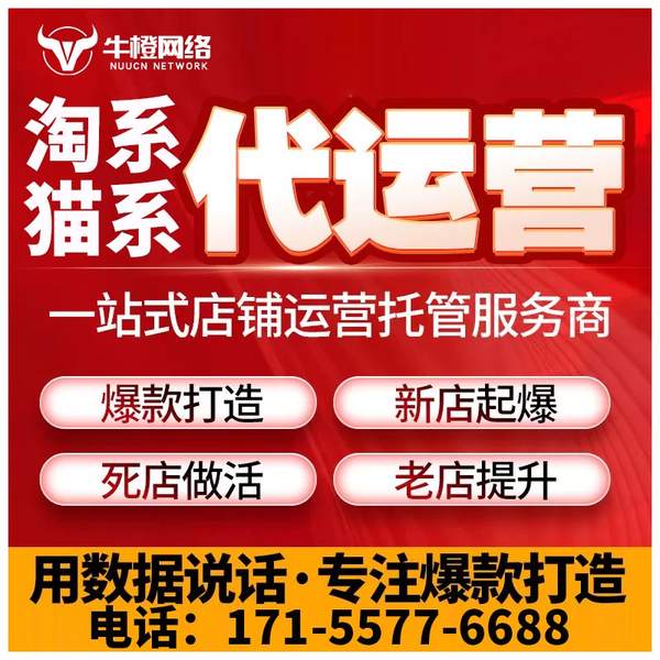 葫芦岛电商代运营